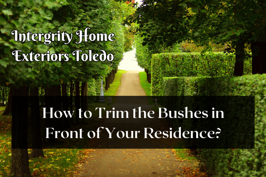 How to Trim the Bushes in Front of Your Residence?